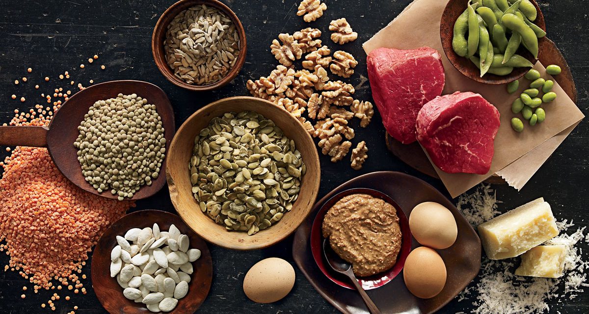 Best sources of Protein