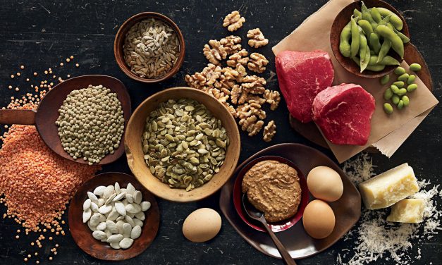 Best sources of Protein