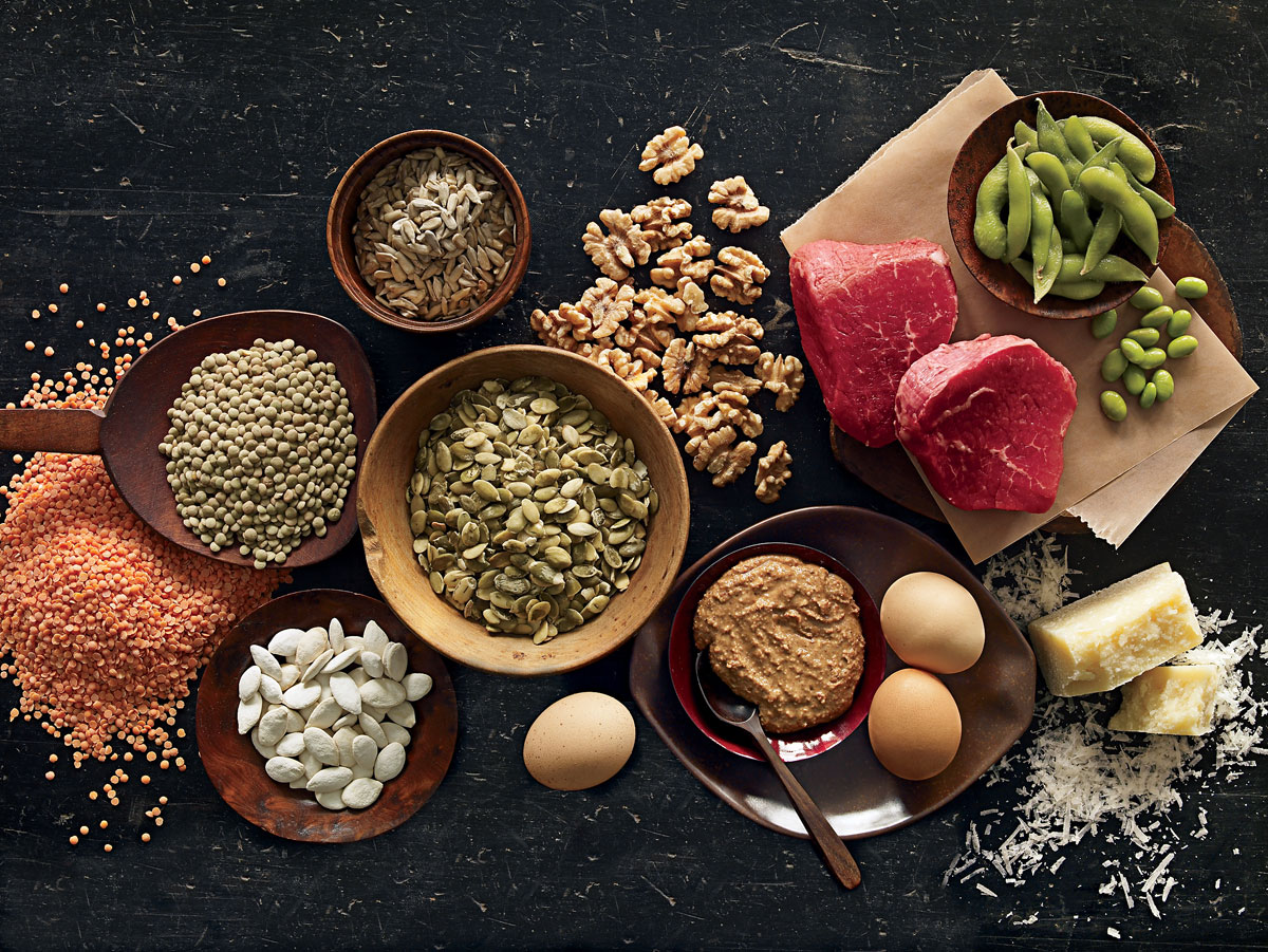 name two sources of protein